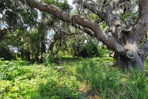 Terreno en venta en Kissimmee, Florida № 1658078 - foto 15