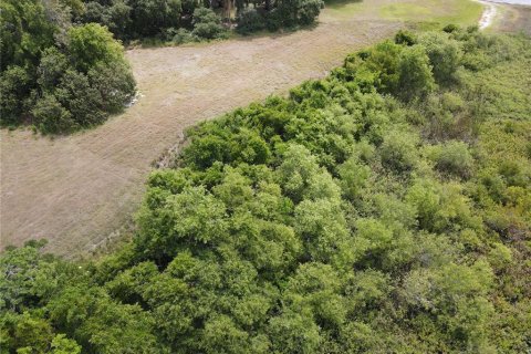 Terreno en venta en Kissimmee, Florida № 1658078 - foto 19