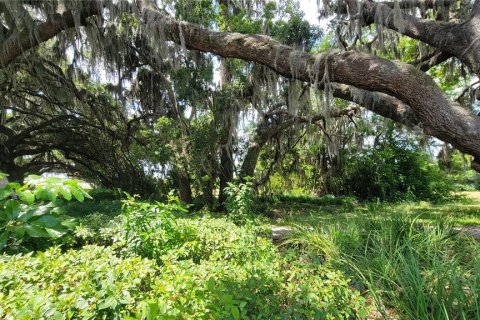Terreno en venta en Kissimmee, Florida № 1658078 - foto 14