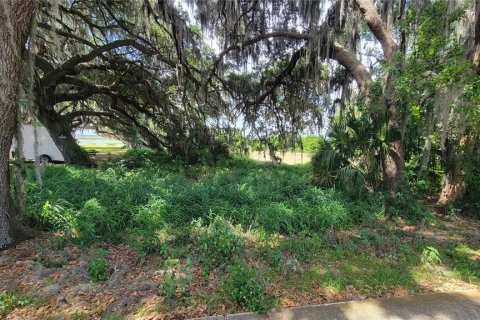 Terreno en venta en Kissimmee, Florida № 1658078 - foto 4