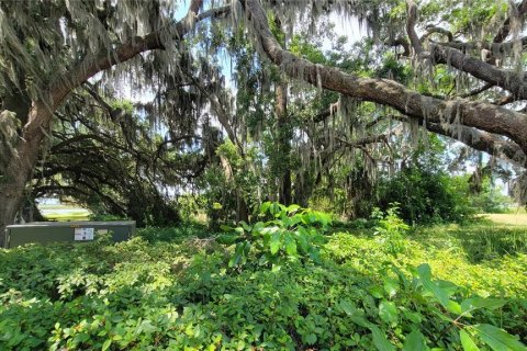 Terreno en venta en Kissimmee, Florida № 1658078 - foto 13