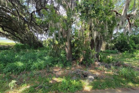 Land in Kissimmee, Florida № 1658078 - photo 6