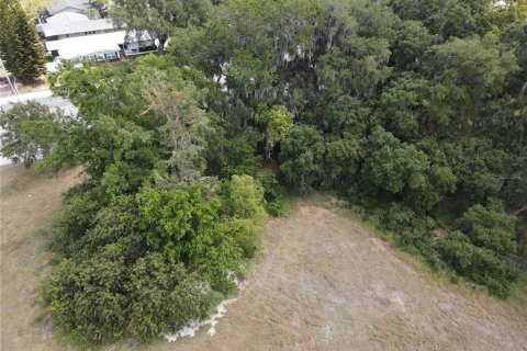 Terrain à vendre à Kissimmee, Floride № 1658078 - photo 21