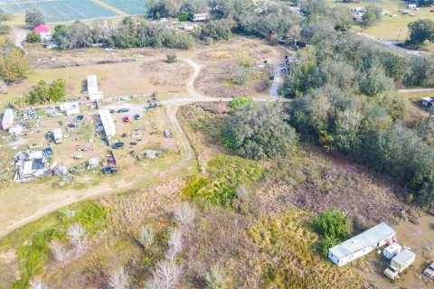 Land in Plant City, Florida № 1547601 - photo 19
