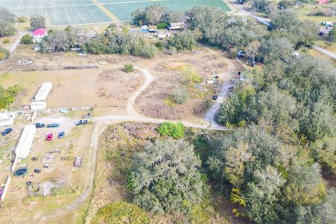 Land in Plant City, Florida № 1547601 - photo 2