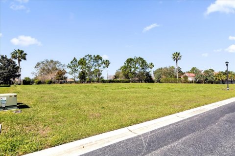 Land in Lake Alfred, Florida № 1527574 - photo 4