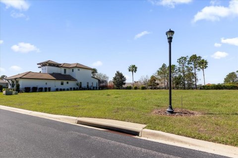 Land in Lake Alfred, Florida № 1527574 - photo 3