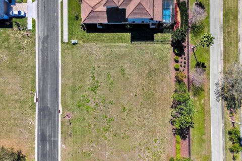 Land in Lake Alfred, Florida № 1527574 - photo 13