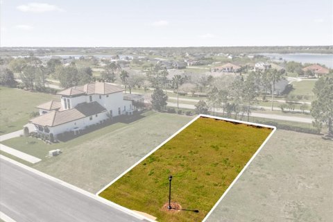 Land in Lake Alfred, Florida № 1527574 - photo 11