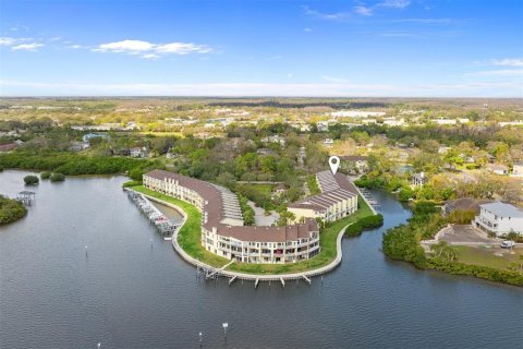 Touwnhouse à vendre à Oldsmar, Floride: 3 chambres, 170.38 m2 № 1717053 - photo 3
