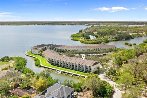 Touwnhouse à vendre à Oldsmar, Floride: 3 chambres, 170.38 m2 № 1717053 - photo 1