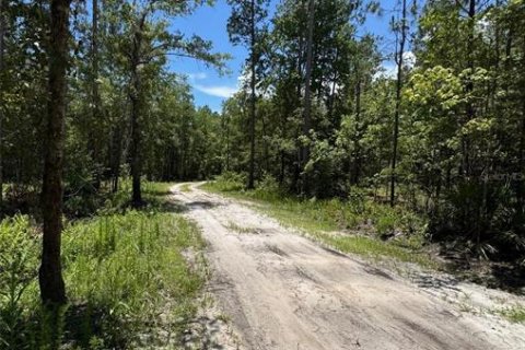 Appartement à louer à Gainesville, Floride: 2 chambres, 96.62 m2 № 2432621 - photo 21