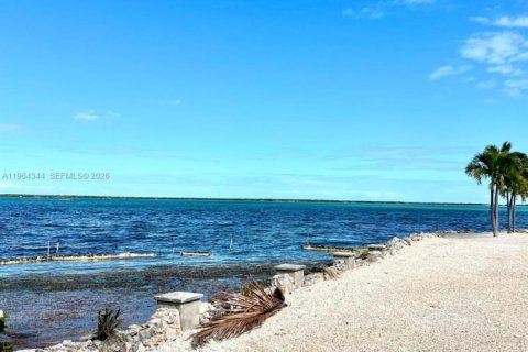 Купить виллу или дом в Биг-Пайн-Ки, Флорида 3 спальни, 115.94м2, № 2079650 - фото 2
