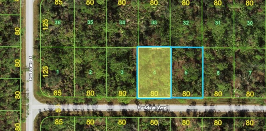 Terrain à Port Charlotte, Floride № 2223847