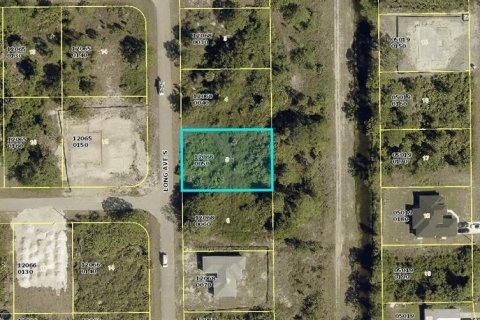 Land in Lehigh Acres, Florida № 2163958 - photo 2