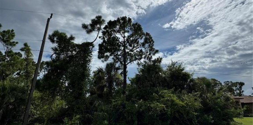 Land in Port Charlotte, Florida № 1848046