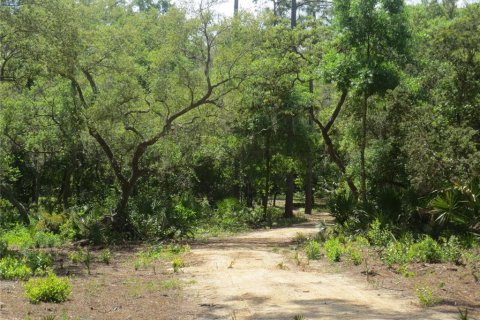 Land in Silver Springs Shores, Florida № 1737362 - photo 17