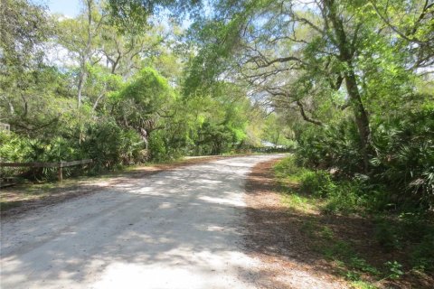 Land in Silver Springs Shores, Florida № 1737362 - photo 28