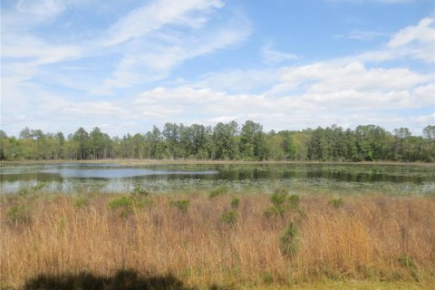 Land in Silver Springs Shores, Florida № 1737362 - photo 19