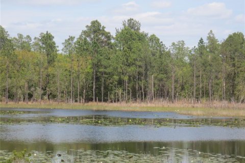 Land in Silver Springs Shores, Florida № 1737362 - photo 21