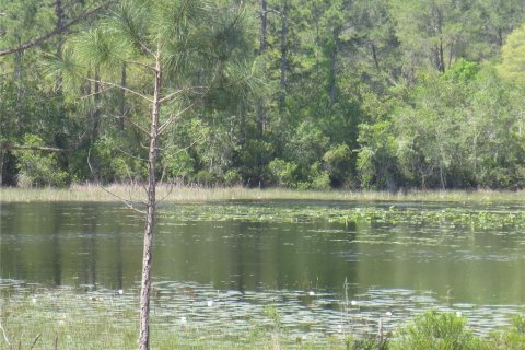 Land in Silver Springs Shores, Florida № 1737362 - photo 22