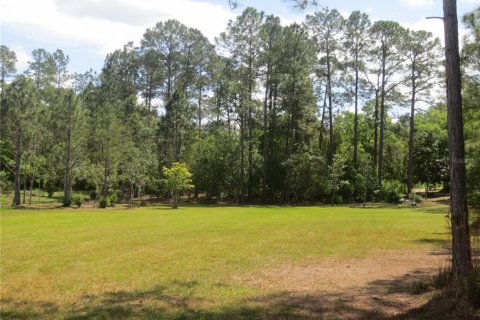 Land in Silver Springs Shores, Florida № 1737362 - photo 23