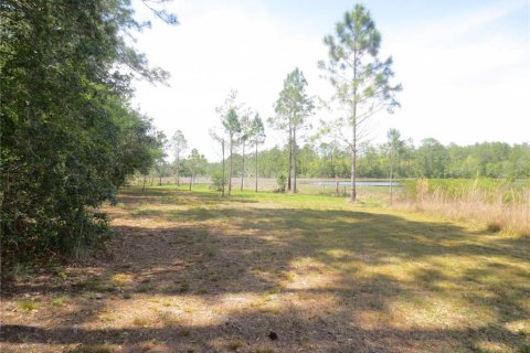 Land in Silver Springs Shores, Florida № 1737362 - photo 27