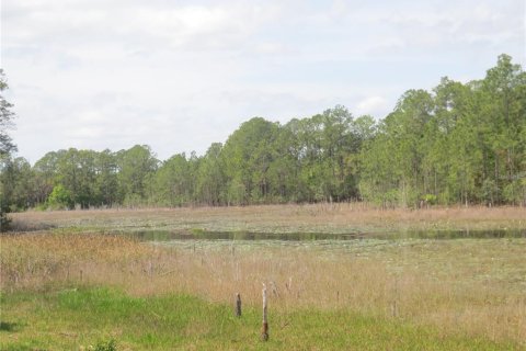 Land in Silver Springs Shores, Florida № 1737362 - photo 5