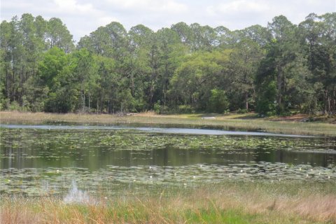 Land in Silver Springs Shores, Florida № 1737362 - photo 20