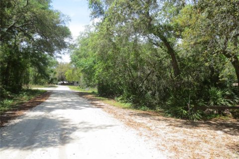 Land in Silver Springs Shores, Florida № 1737362 - photo 29