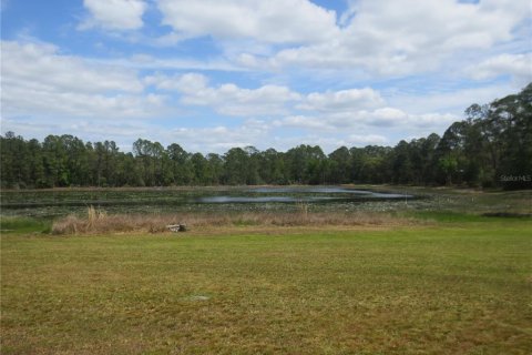 Land in Silver Springs Shores, Florida № 1737362 - photo 26