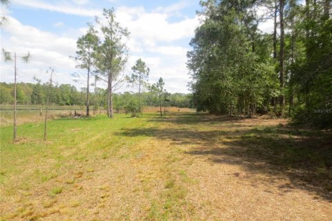 Land in Silver Springs Shores, Florida № 1737362 - photo 14