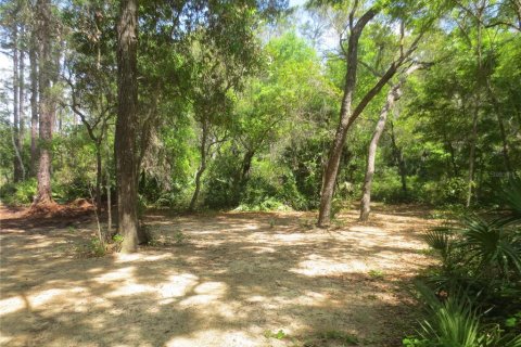 Land in Silver Springs Shores, Florida № 1737362 - photo 30