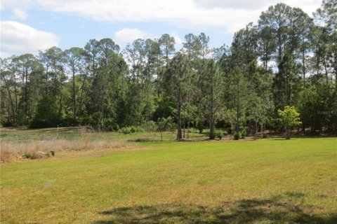 Land in Silver Springs Shores, Florida № 1737362 - photo 24