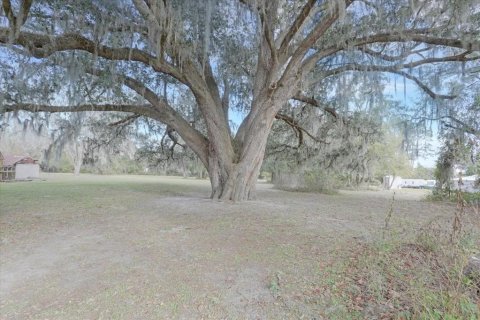 Terreno en venta en Lake Butler, Florida № 2108910 - foto 25