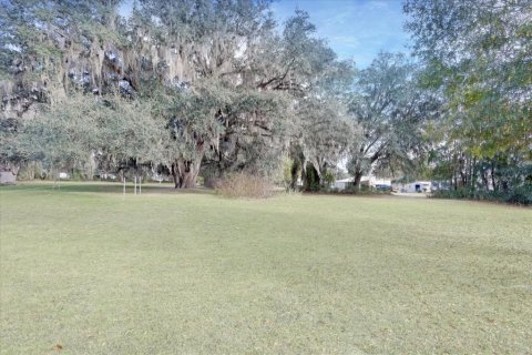 Terreno en venta en Lake Butler, Florida № 2108910 - foto 21