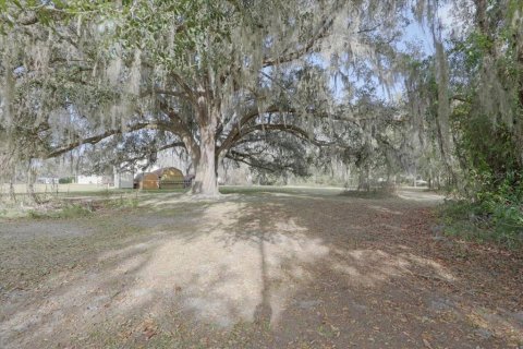 Terreno en venta en Lake Butler, Florida № 2108910 - foto 22
