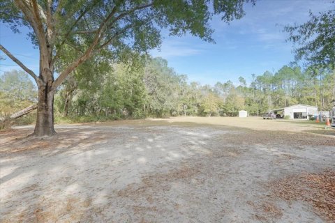 Terreno en venta en Lake Butler, Florida № 2108910 - foto 23