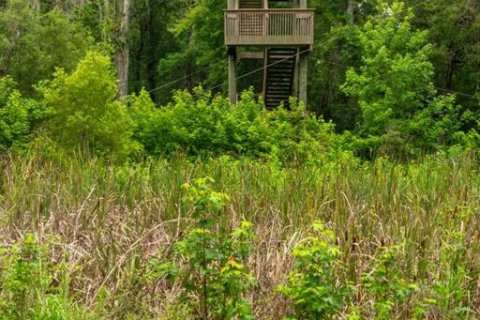 Land in Brooksville, Florida № 1911670 - photo 15