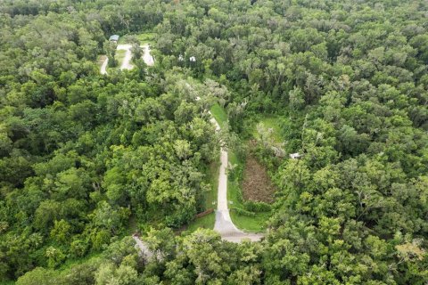 Land in Brooksville, Florida № 1911670 - photo 4