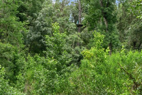 Land in Brooksville, Florida № 1911670 - photo 12
