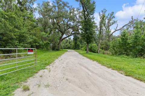 Land in Brooksville, Florida № 1911670 - photo 10