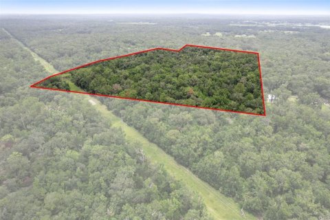 Land in Brooksville, Florida № 1911670 - photo 1