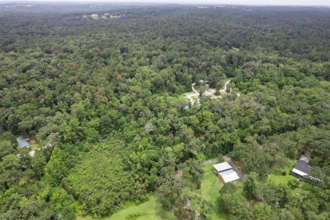 Land in Brooksville, Florida № 1911670 - photo 3