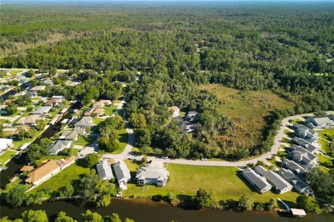 Land in Crystal River, Florida № 1881022 - photo 2