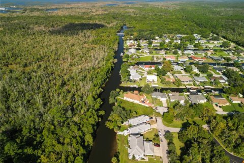 Land in Crystal River, Florida № 1881022 - photo 3