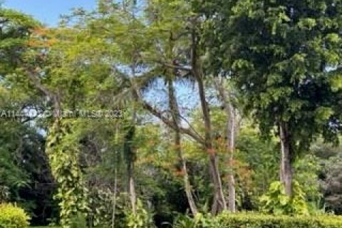 Terreno en Miami, Florida № 2022847
