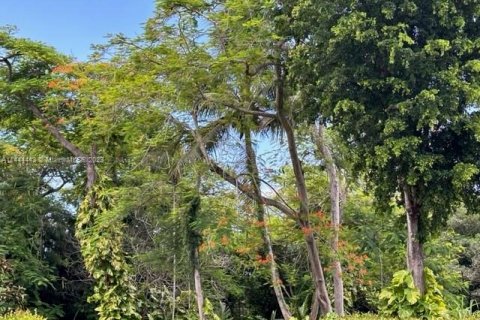 Terreno en venta en Miami, Florida № 2022847 - foto 2