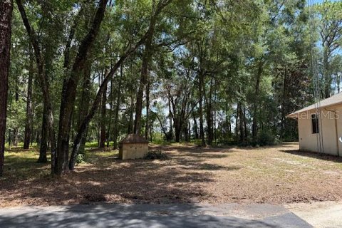 House in Floral City, Florida 3 bedrooms, 196.95 sq.m. № 1816653 - photo 8