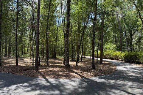 House in Floral City, Florida 3 bedrooms, 196.95 sq.m. № 1816653 - photo 11